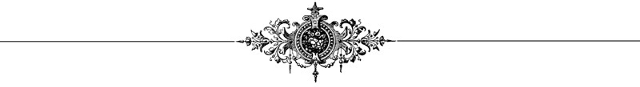 z38IJ797.jpg