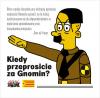 gnomin_t1.jpg