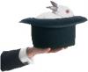 hand_rabbit_hat1_t1.jpg