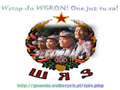 weteranki_1.jpg