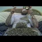 Gang albanii - Marihuana