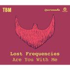 Lost Frequencies - Are You With Me