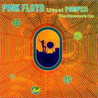 Pink Floyd - Live at Pompeii (Cover)
