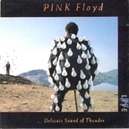 Pink Floyd - Delicate Sound Of Thunder - Cover - Front