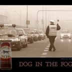 Dog in the Fog
