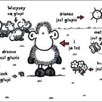 Sheep World