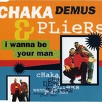 Chaka Demus & Pliers - I Wanna Be Your Man