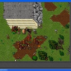 Tibia Old Widow - Ja to naprawie