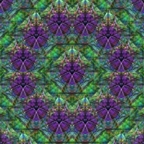 kobieta89