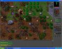 Tibia The Old Widow