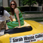 Sarah Wayne Callies
