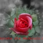 Wiadomo dla Kogo i od kogo:D