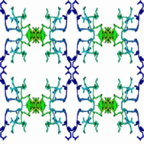 kość