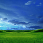 Tapeta Windows