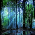 Wales_Nature