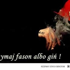 131829-3maj-fason-albo-gin