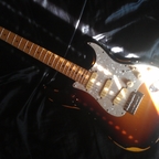 IMAG0245