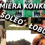 FOTO TŁO ŁOBUZ