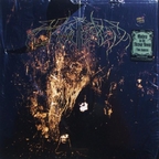 Wolves In The Throne Room - Two Hunters (Double Vinyl Version) [przód]