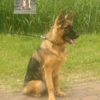 2012-06-16-004