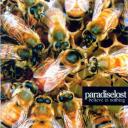 Paradise Lost - Belive In Nothing (2001)