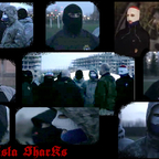 WISŁA SHARKS