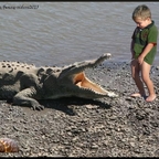 Krokodyl zabójca (crocodile) - krótki film o zabijaniu Horror
