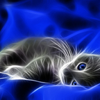 Tapety HD /Full HD