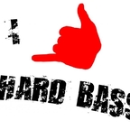 Hard Bass