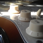 IMAG0254
