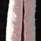 DSC 0007