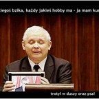 Każdy ma jakegoś bzika [xdpedia]
