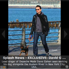 dave gahan 