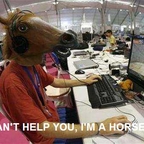 i can't help you, i'm a horse