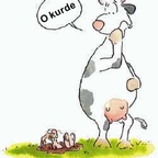 Kawały i dowcipy o zajączku