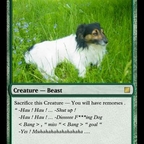 MTG : my dog Card 
