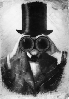 Avatar U�ytkownika