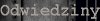 Odwiedziny