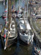 marg0812_t1.jpg
