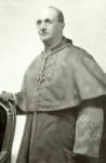 Mikołaj Dreder
