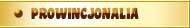 Rozmiar: 1710 bajt�w