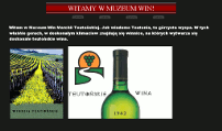 Muzeum Wina