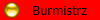 Burmistrz