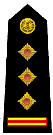 pu�kownik