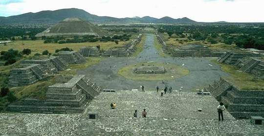 Vetonia