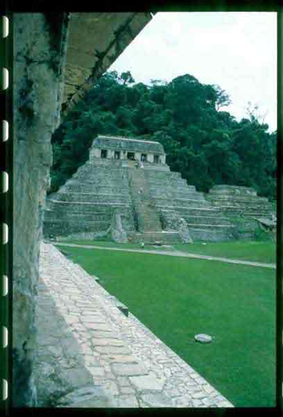 Vetonia