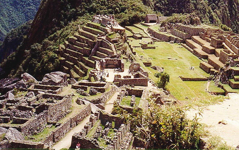 tarasy