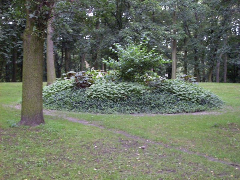 park park