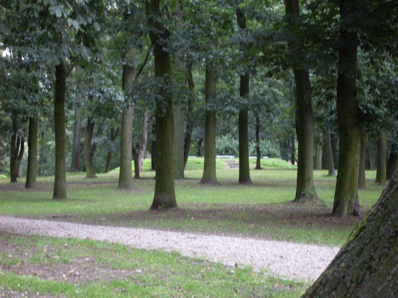 park park