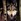 GrayWolf2
